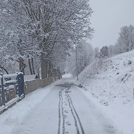 Farmház Srebrny Swierk *