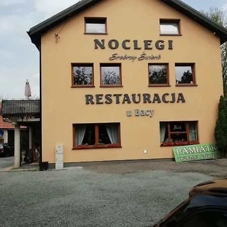 Vakantieboerderij Srebrny Swierk