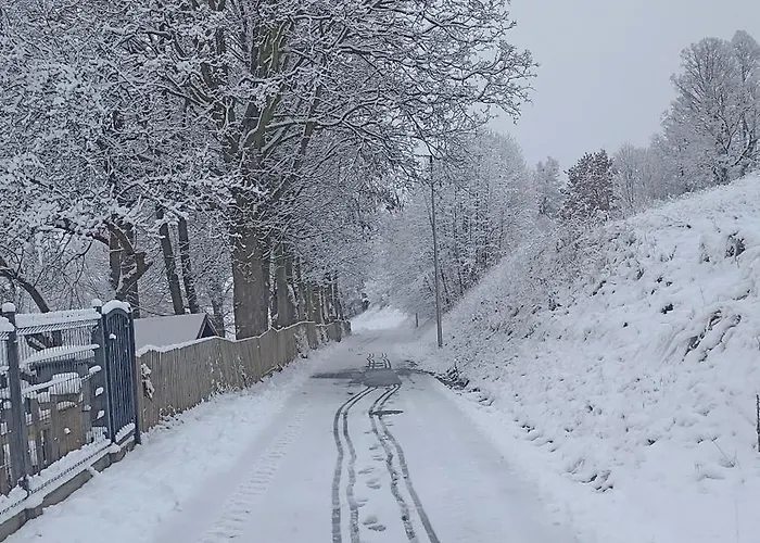 Farmház Srebrny Swierk *